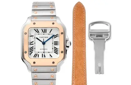 Cartier Santos de Cartier Watch Silver White